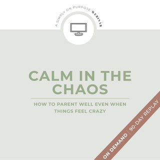 Calm In The Chaos Webinar